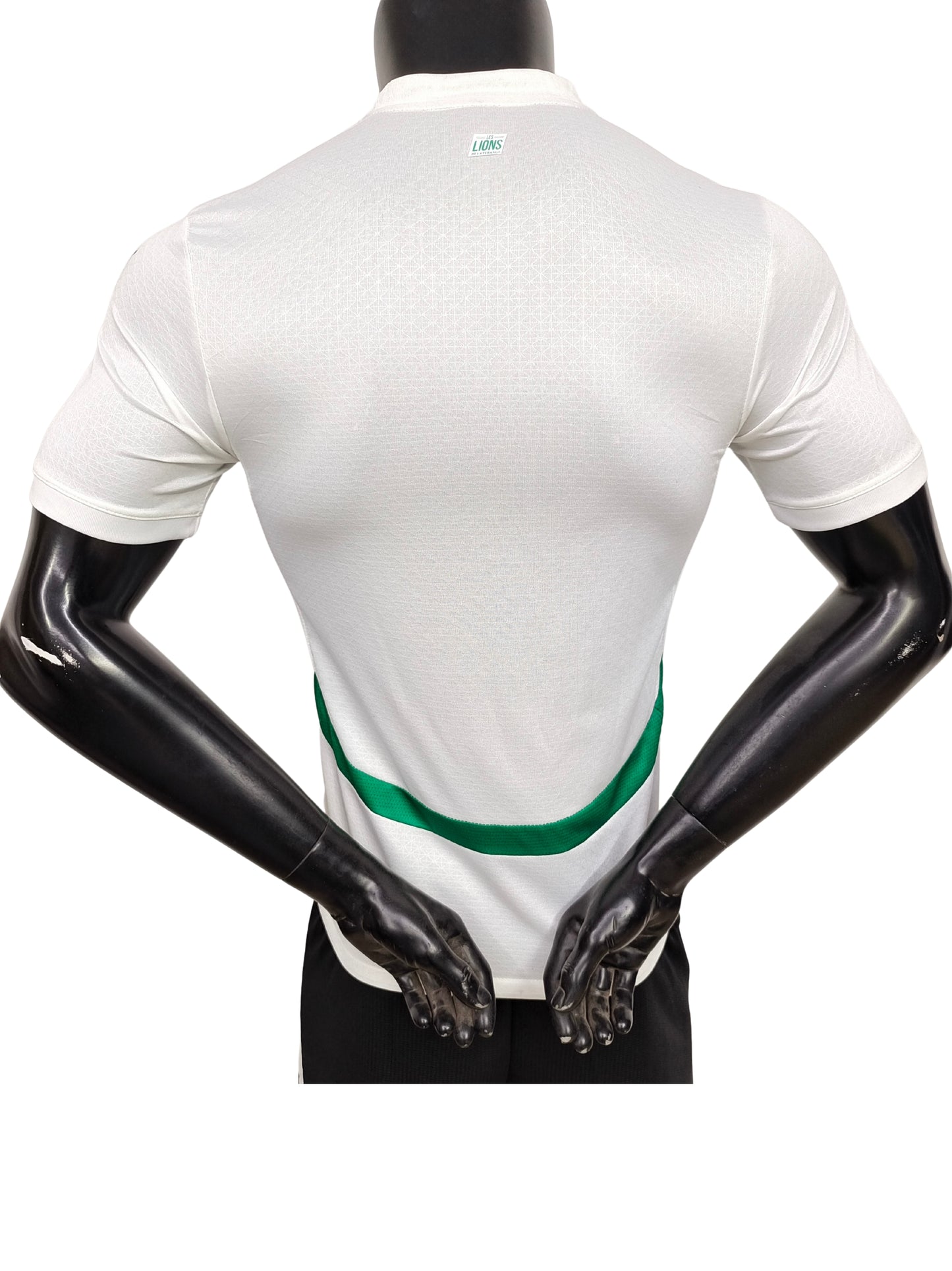 Maillot Domicile Player Sénégal 2025